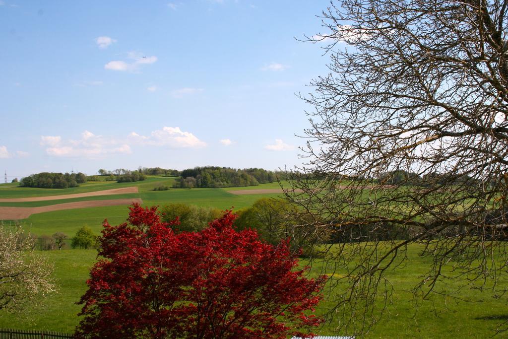 Ferienwohnung Endlich Ferien Waldshut-Tiengen Buitenkant foto